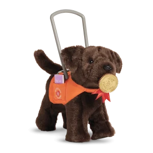 Service Dog Vest